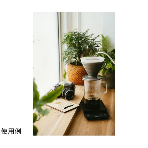 ビーカーサーバー&ドリッパーセット BV