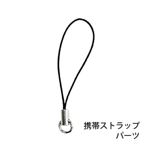 セフティホルダーS クリアブラック 28