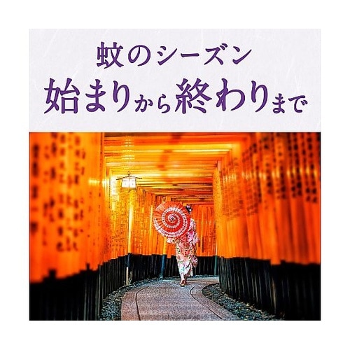 アースノーマット 取替えボトル90日用