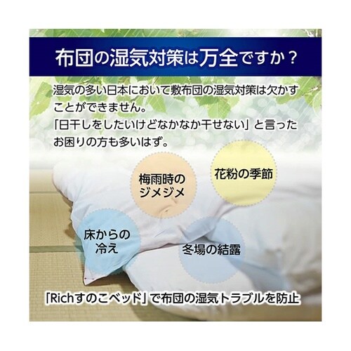 Richすのこベッド プラスチック(ベッ