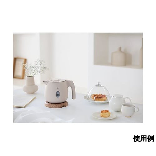 AC100V/1300W/0.8L 電気