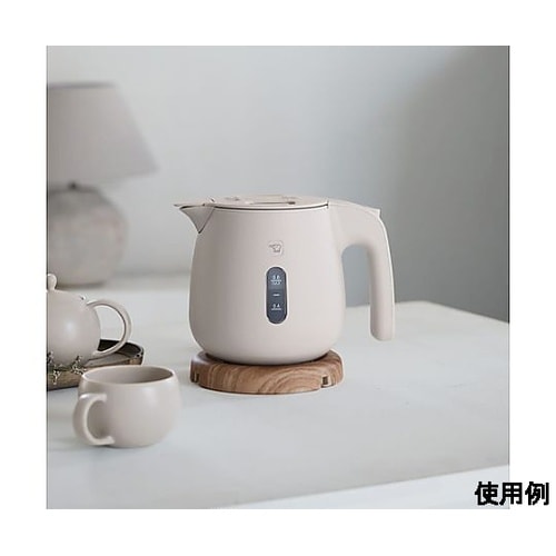 AC100V/1300W/0.8L 電気