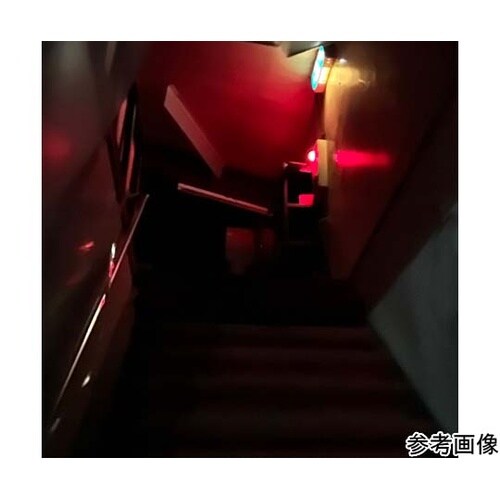 LEDロープライト 両面発光 増設用 白