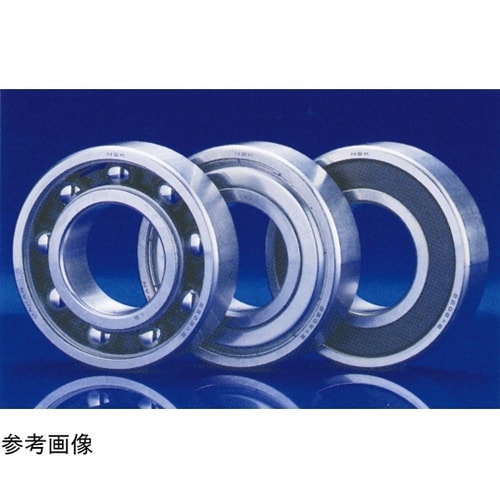 日本精工(NSK) ステンレス軸受 SS