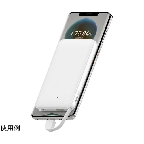 モバイルバッテリー 5,000mAh P
