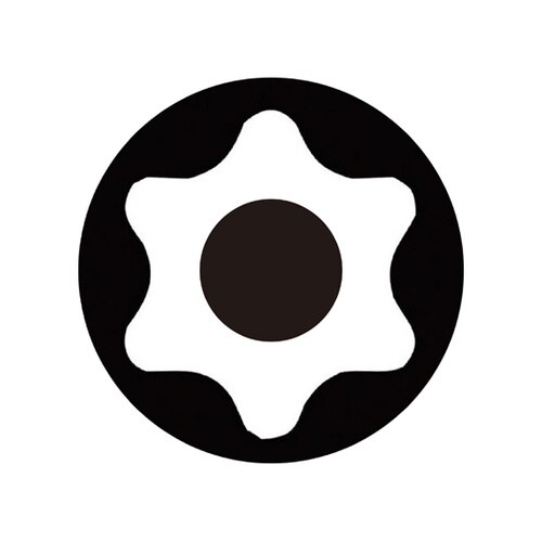 Bore Torx トルクスネジ用 ドラ