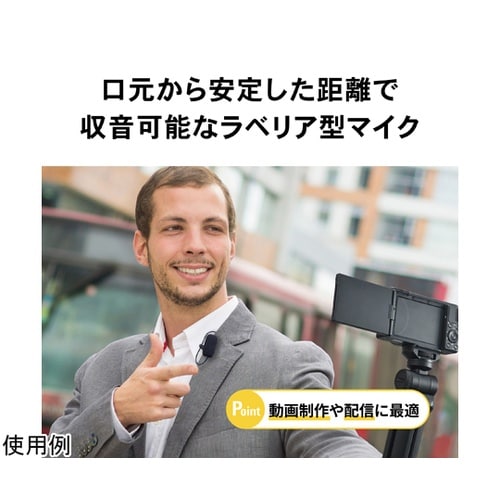 ステレオマイクロホン (単一指向性) A