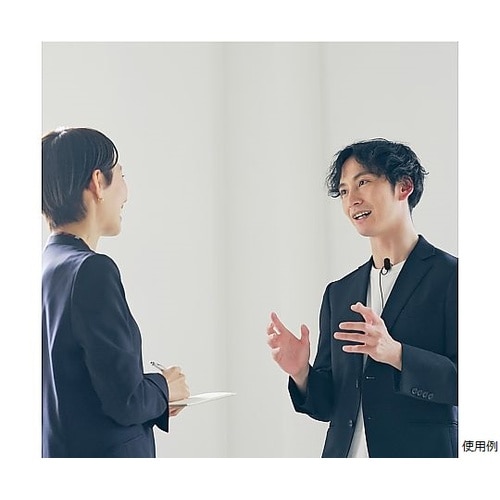 ステレオマイクロホン (単一指向性) A