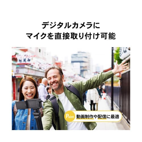 ステレオマイクロホン (単一指向性) A