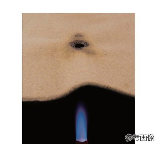 難燃性フリース毛布 10枚組