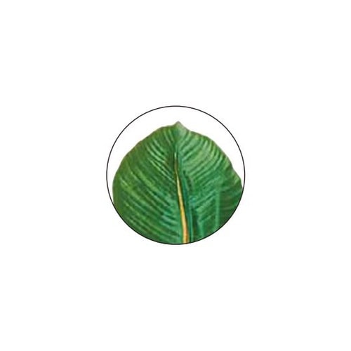 人工樹木 H160cm ストレチア 61