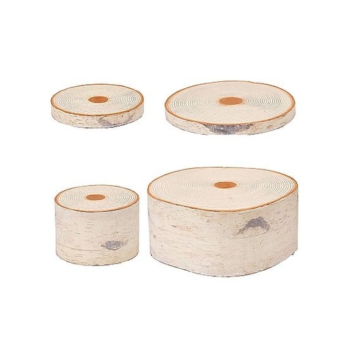 白樺切り株オブジェ 直径24×H2cm