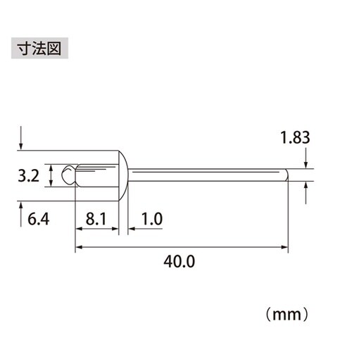 ブラインドリベット(1000本入) NS