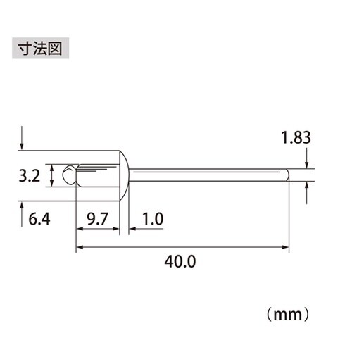 ブラインドリベット(1000本入) NS