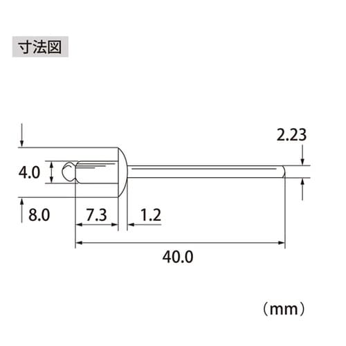 ブラインドリベット(1000本入) NS