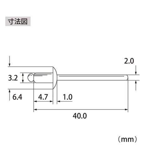 ブラインドリベット(1000本入) NS
