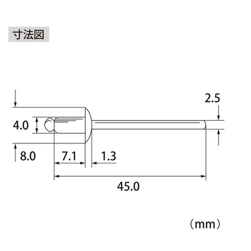 ブラインドリベット(1000本入) NS