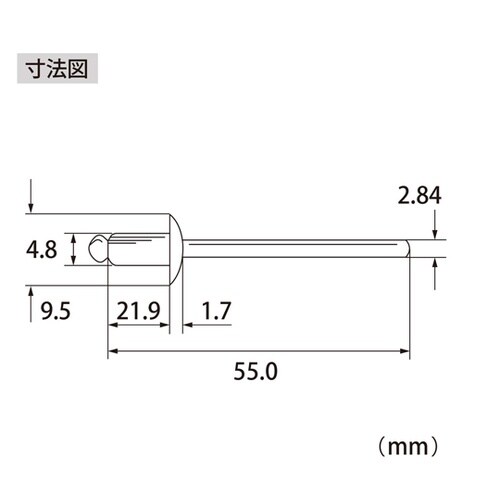 ブラインドリベット(500本入) NST