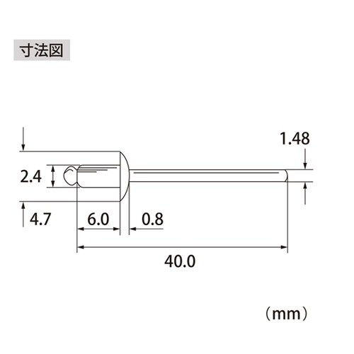 ブラインドリベット(1000本入) NS