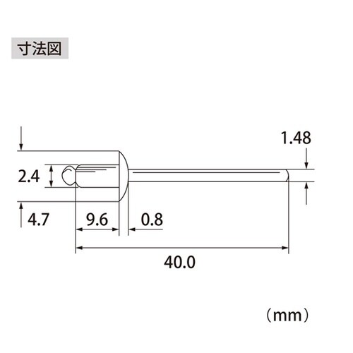 ブラインドリベット(1000本入) NS