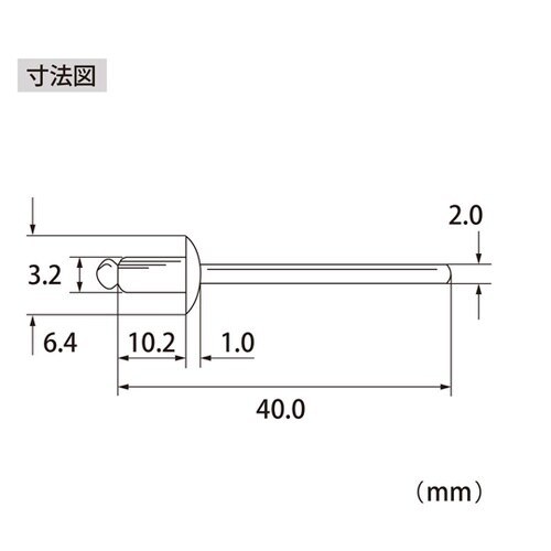 ブラインドリベット(1000本入) NS