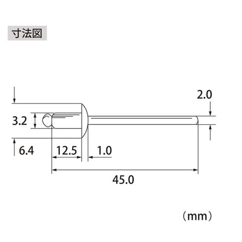 ブラインドリベット(1000本入) NS