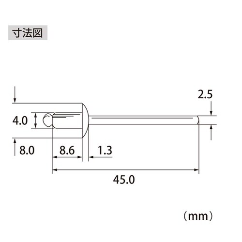 ブラインドリベット(1000本入) NS