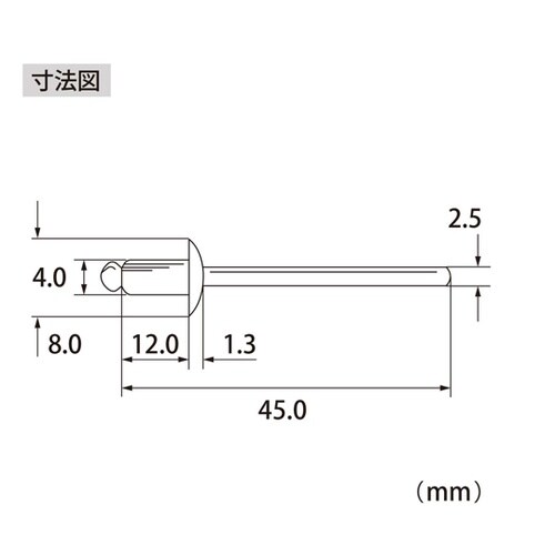 ブラインドリベット(1000本入) NS