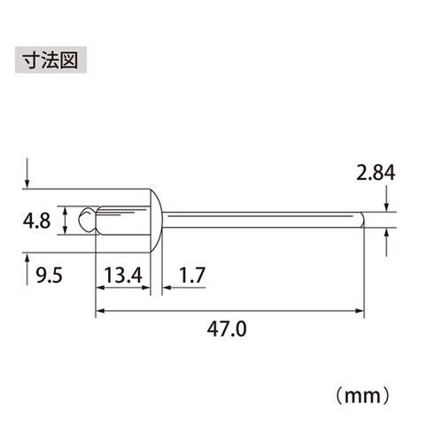 ブラインドリベット(500本入) NSS