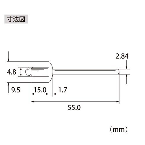ブラインドリベット(500本入) NSS