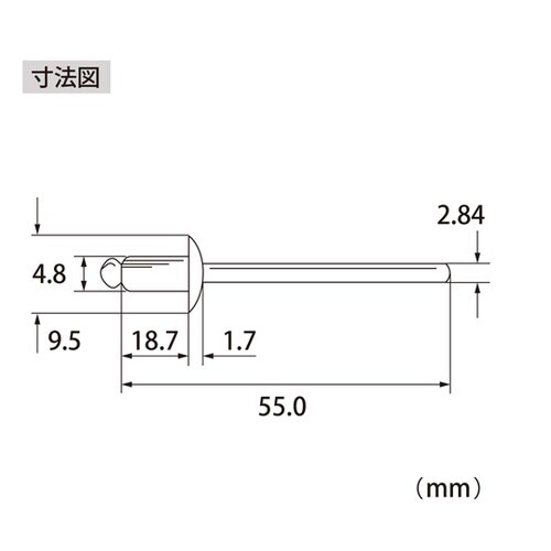 ブラインドリベット(500本入) NSS