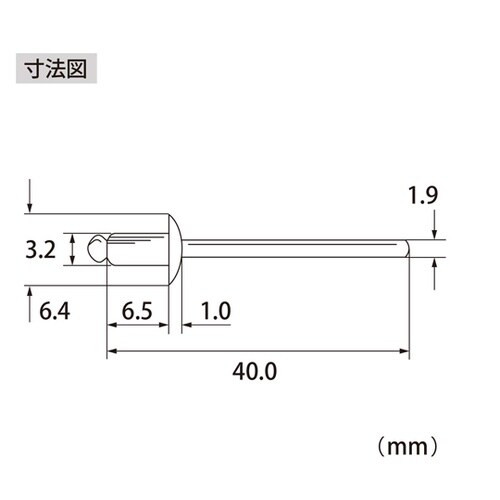 ブラインドリベット(1000本入) NS