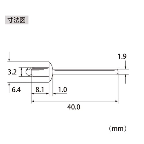 ブラインドリベット(1000本入) NS