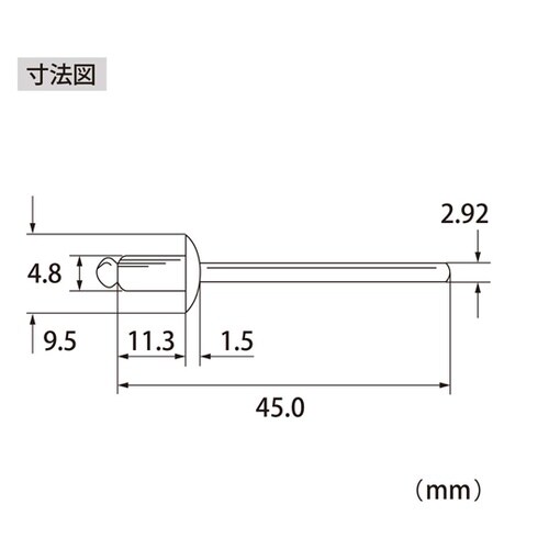 ブラインドリベット(500本入) NS6