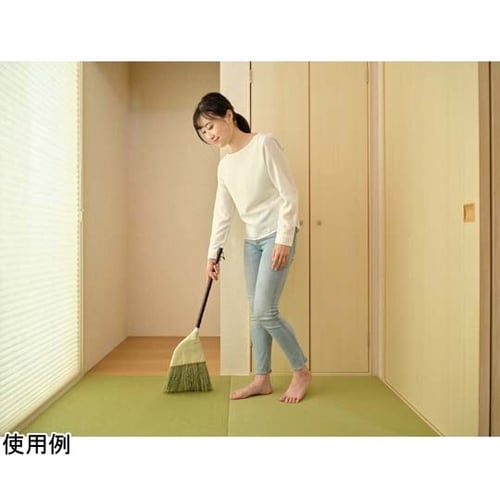 Daily Clean 座敷箒 短柄 2