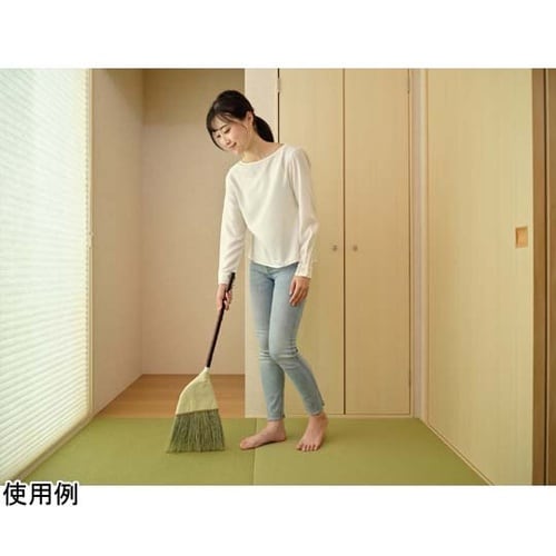 Daily Clean 座敷箒 短柄 2