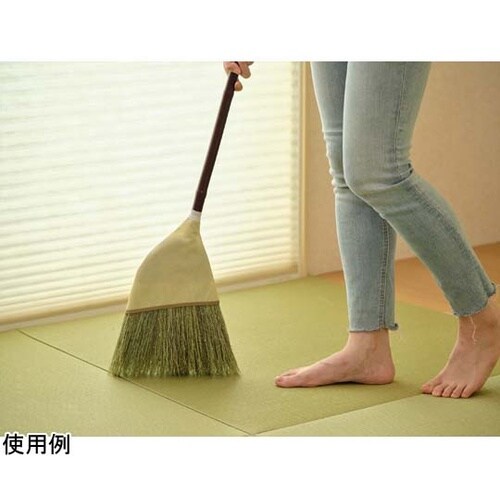 Daily Clean 座敷箒 短柄 2