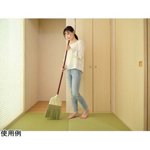 Daily Clean 座敷箒 長柄 2
