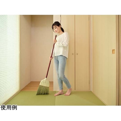 Daily Clean 座敷箒 長柄 2