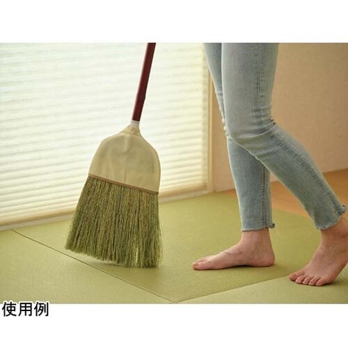 Daily Clean 座敷箒 長柄 2