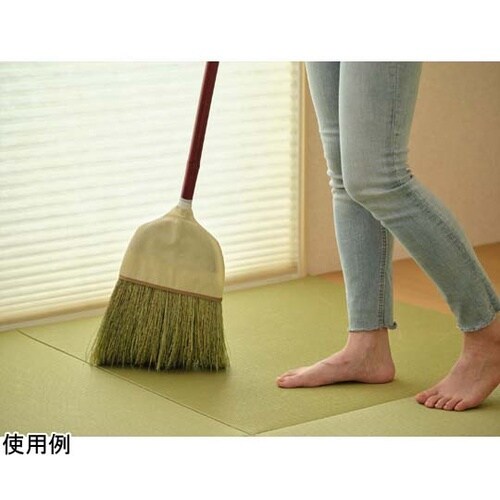 Daily Clean 座敷箒 長柄 2