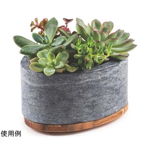 石皿 木製蓋付き チーク 16×13cm