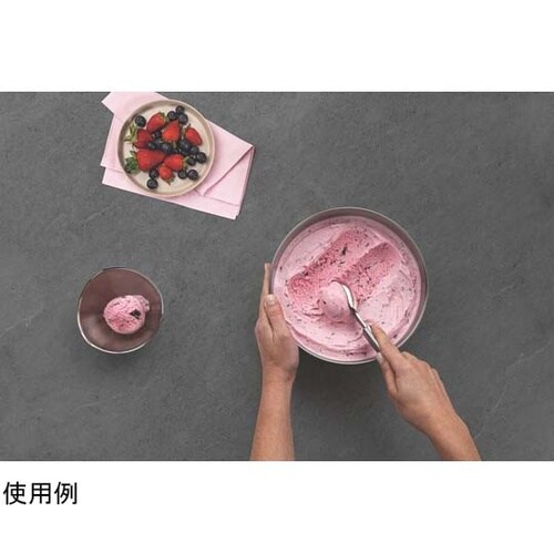 アイスクリームスプーン 63809/41