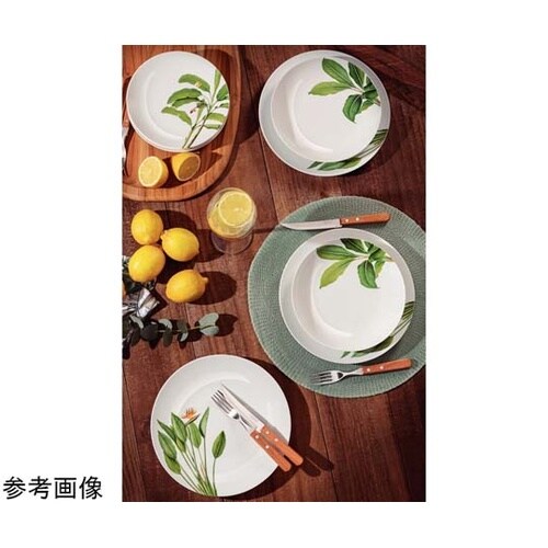 グラジエラ ディナープレート 25cm