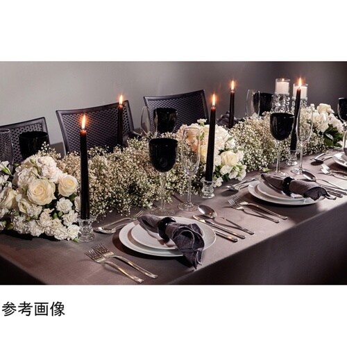 レオノラ ディナープレート 25cm 9