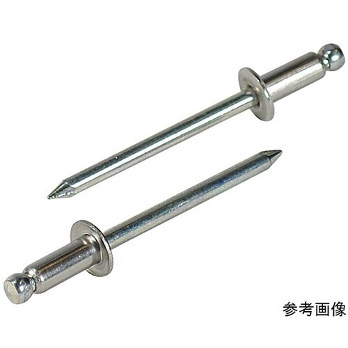 リベット(1000本入) NSS48