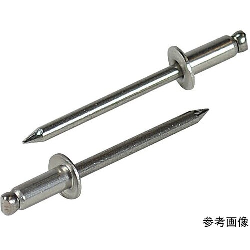 リベット(300本入) NST55EB