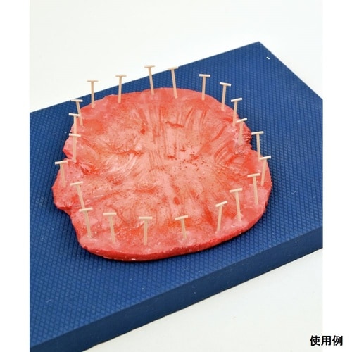 病理検体固定機 本体 Bano’k505