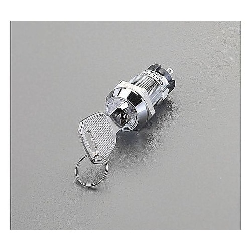 250V/ 3A 単極双投/キーロックス