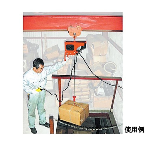 AC100V/100kgx10m 電気ホ